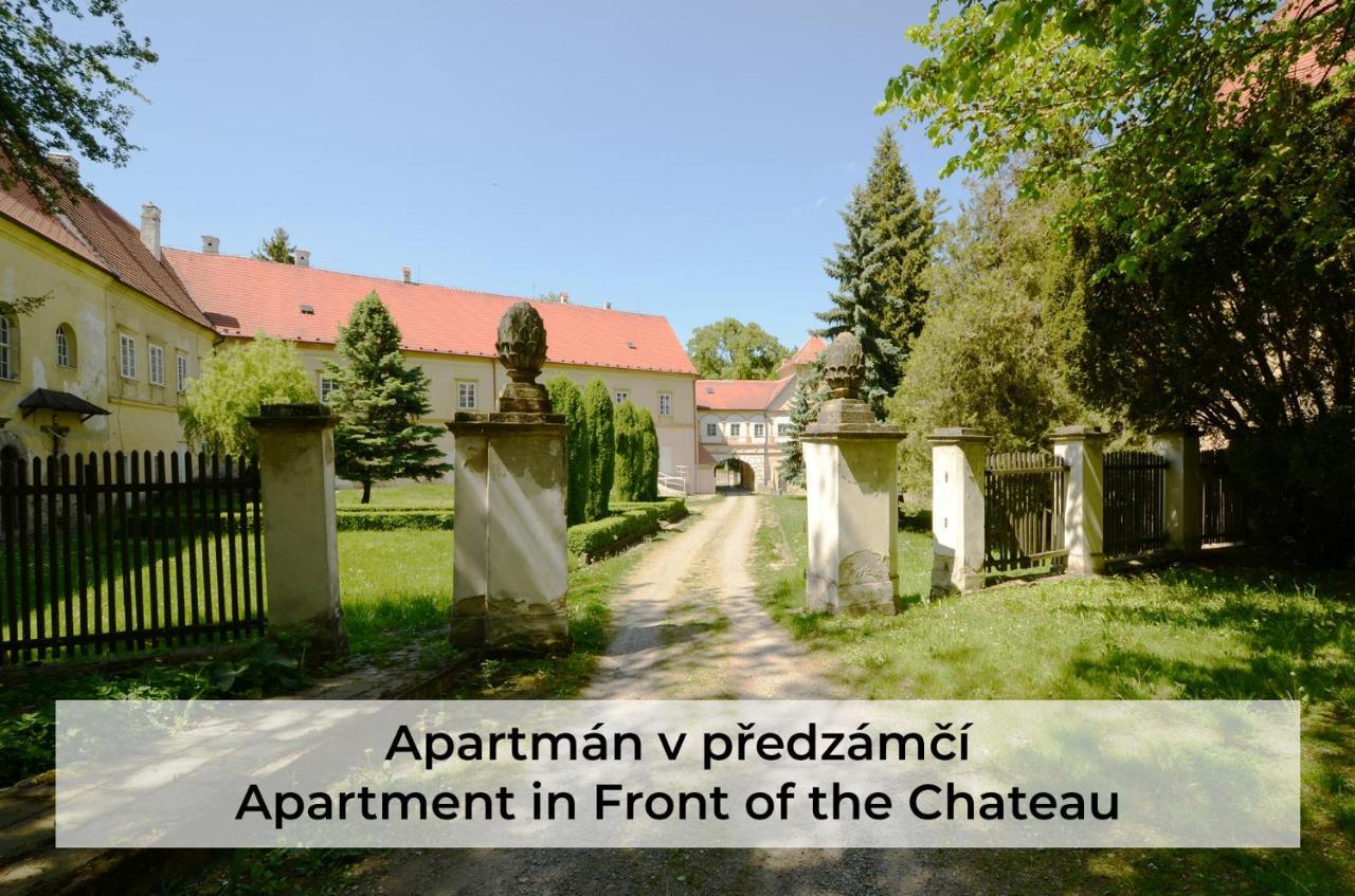 Zamek Racice Hotel Exterior foto